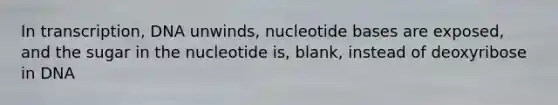 In transcription, DNA unwinds, nucleotide bases are exposed, and the sugar in the nucleotide is, blank, instead of deoxyribose in DNA