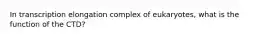 In transcription elongation complex of eukaryotes, what is the function of the CTD?