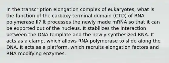 In the transcription elongation complex of eukaryotes, what is the function of the carboxy terminal domain (CTD) of RNA polymerase II? It processes the newly made mRNA so that it can be exported out of the nucleus. It stabilizes the interaction between the DNA template and the newly synthesized RNA. It acts as a clamp, which allows RNA polymerase to slide along the DNA. It acts as a platform, which recruits elongation factors and RNA-modifying enzymes.