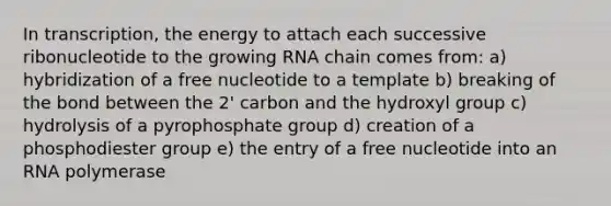 In transcription, the energy to attach each successive ribonucleotide to the growing RNA chain comes from: a) hybridization of a free nucleotide to a template b) breaking of the bond between the 2' carbon and the hydroxyl group c) hydrolysis of a pyrophosphate group d) creation of a phosphodiester group e) the entry of a free nucleotide into an RNA polymerase