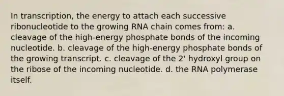 In transcription, the energy to attach each successive ribonucleotide to the growing RNA chain comes from: a. cleavage of the high-energy phosphate bonds of the incoming nucleotide. b. cleavage of the high-energy phosphate bonds of the growing transcript. c. cleavage of the 2' hydroxyl group on the ribose of the incoming nucleotide. d. the RNA polymerase itself.