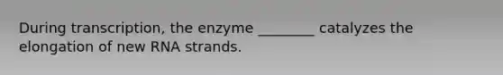 During transcription, the enzyme ________ catalyzes the elongation of new RNA strands.