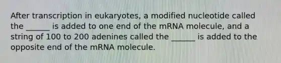 After transcription in eukaryotes, a modified nucleotide called the ______ is added to one end of the mRNA molecule, and a string of 100 to 200 adenines called the ______ is added to the opposite end of the mRNA molecule.