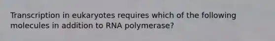 Transcription in eukaryotes requires which of the following molecules in addition to RNA polymerase?