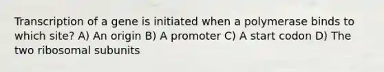 Transcription of a gene is initiated when a polymerase binds to which site? A) An origin B) A promoter C) A start codon D) The two ribosomal subunits