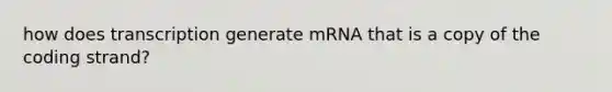 how does transcription generate mRNA that is a copy of the coding strand?