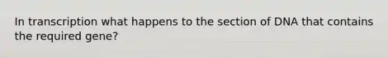 In transcription what happens to the section of DNA that contains the required gene?