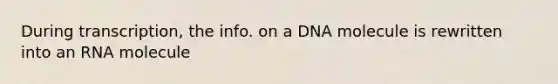 During transcription, the info. on a DNA molecule is rewritten into an RNA molecule