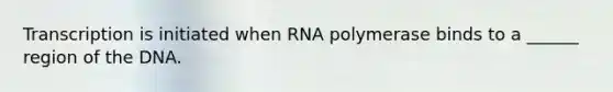 Transcription is initiated when RNA polymerase binds to a ______ region of the DNA.