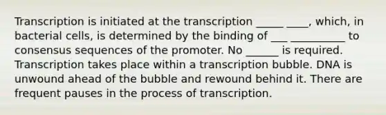 Transcription is initiated at the transcription _____ ____, which, in bacterial cells, is determined by the binding of ___ __________ to consensus sequences of the promoter. No ______ is required. Transcription takes place within a transcription bubble. DNA is unwound ahead of the bubble and rewound behind it. There are frequent pauses in the process of transcription.