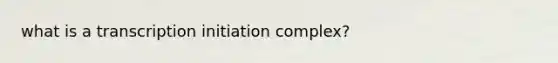 what is a transcription initiation complex?