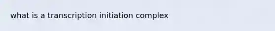 what is a transcription initiation complex