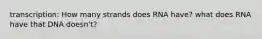 transcription: How many strands does RNA have? what does RNA have that DNA doesn't?