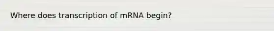 Where does transcription of mRNA begin?