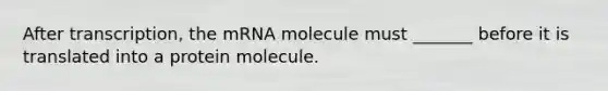 After transcription, the mRNA molecule must _______ before it is translated into a protein molecule.