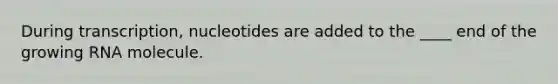 During transcription, nucleotides are added to the ____ end of the growing RNA molecule.