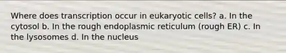 Where does transcription occur in eukaryotic cells? a. In the cytosol b. In the rough endoplasmic reticulum (rough ER) c. In the lysosomes d. In the nucleus