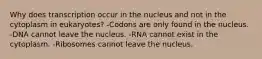 Why does transcription occur in the nucleus and not in the cytoplasm in eukaryotes? -Codons are only found in the nucleus. -DNA cannot leave the nucleus. -RNA cannot exist in the cytoplasm. -Ribosomes cannot leave the nucleus.