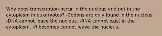 Why does transcription occur in the nucleus and not in the cytoplasm in eukaryotes? -Codons are only found in the nucleus. -DNA cannot leave the nucleus. -RNA cannot exist in the cytoplasm. -Ribosomes cannot leave the nucleus.