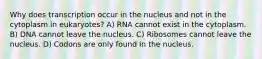 Why does transcription occur in the nucleus and not in the cytoplasm in eukaryotes? A) RNA cannot exist in the cytoplasm. B) DNA cannot leave the nucleus. C) Ribosomes cannot leave the nucleus. D) Codons are only found in the nucleus.