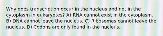 Why does transcription occur in the nucleus and not in the cytoplasm in eukaryotes? A) RNA cannot exist in the cytoplasm. B) DNA cannot leave the nucleus. C) Ribosomes cannot leave the nucleus. D) Codons are only found in the nucleus.