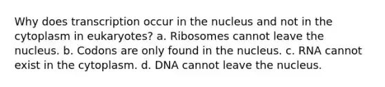 Why does transcription occur in the nucleus and not in the cytoplasm in eukaryotes? a. Ribosomes cannot leave the nucleus. b. Codons are only found in the nucleus. c. RNA cannot exist in the cytoplasm. d. DNA cannot leave the nucleus.