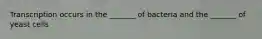 Transcription occurs in the _______ of bacteria and the _______ of yeast cells