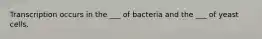 Transcription occurs in the ___ of bacteria and the ___ of yeast cells.