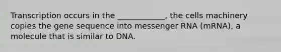 Transcription occurs in the ____________, the cells machinery copies the gene sequence into messenger RNA (mRNA), a molecule that is similar to DNA.