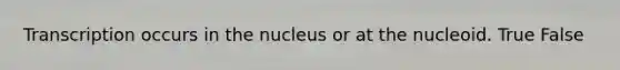 Transcription occurs in the nucleus or at the nucleoid. True False