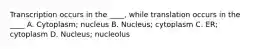 Transcription occurs in the ____, while translation occurs in the ____ A. Cytoplasm; nucleus B. Nucleus; cytoplasm C. ER; cytoplasm D. Nucleus; nucleolus