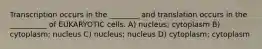 Transcription occurs in the ________ and translation occurs in the __________ of EUKARYOTIC cells. A) nucleus; cytoplasm B) cytoplasm; nucleus C) nucleus; nucleus D) cytoplasm; cytoplasm