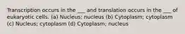 Transcription occurs in the ___ and translation occurs in the ___ of eukaryotic cells. (a) Nucleus; nucleus (b) Cytoplasm; cytoplasm (c) Nucleus; cytoplasm (d) Cytoplasm; nucleus