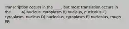 Transcription occurs in the ____, but most translation occurs in the ____. A) nucleus, cytoplasm B) nucleus, nucleolus C) cytoplasm, nucleus D) nucleolus, cytoplasm E) nucleolus, rough ER