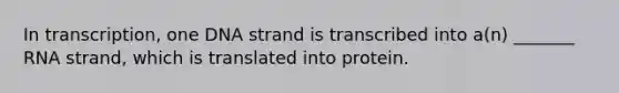 In transcription, one DNA strand is transcribed into a(n) _______ RNA strand, which is translated into protein.