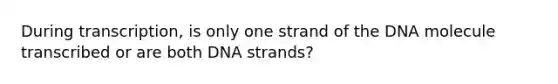 During transcription, is only one strand of the DNA molecule transcribed or are both DNA strands?