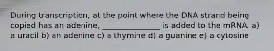 During transcription, at the point where the DNA strand being copied has an adenine, _______________ is added to the mRNA. a) a uracil b) an adenine c) a thymine d) a guanine e) a cytosine