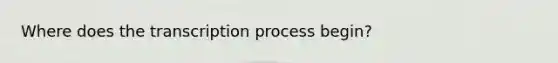 Where does the transcription process begin?