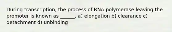 During transcription, the process of RNA polymerase leaving the promoter is known as ______. a) elongation b) clearance c) detachment d) unbinding