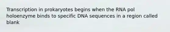 Transcription in prokaryotes begins when the RNA pol holoenzyme binds to specific DNA sequences in a region called blank