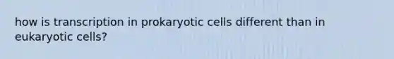 how is transcription in prokaryotic cells different than in eukaryotic cells?