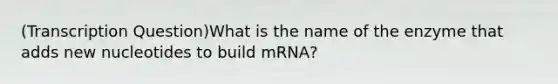 (Transcription Question)What is the name of the enzyme that adds new nucleotides to build mRNA?