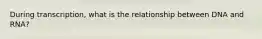 During transcription, what is the relationship between DNA and RNA?