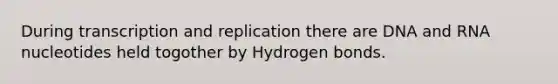 During transcription and replication there are DNA and RNA nucleotides held togother by Hydrogen bonds.