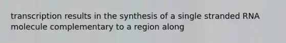 transcription results in the synthesis of a single stranded RNA molecule complementary to a region along