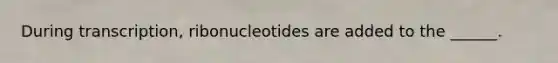 During transcription, ribonucleotides are added to the ______.