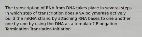 The transcription of RNA from DNA takes place in several steps. In which step of transcription does RNA polymerase actively build the mRNA strand by attaching RNA bases to one another one by one by using the DNA as a template? Elongation Termination Translation Initiation