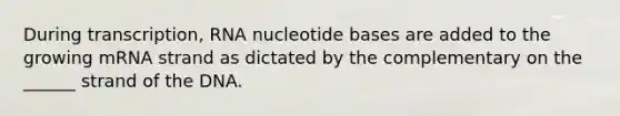 During transcription, RNA nucleotide bases are added to the growing mRNA strand as dictated by the complementary on the ______ strand of the DNA.