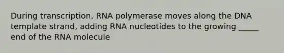 During transcription, RNA polymerase moves along the DNA template strand, adding RNA nucleotides to the growing _____ end of the RNA molecule