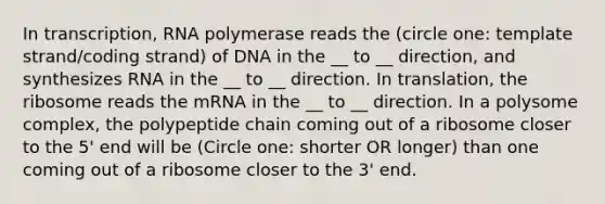 In transcription, RNA polymerase reads the (circle one: template strand/coding strand) of DNA in the __ to __ direction, and synthesizes RNA in the __ to __ direction. In translation, the ribosome reads the mRNA in the __ to __ direction. In a polysome complex, the polypeptide chain coming out of a ribosome closer to the 5' end will be (Circle one: shorter OR longer) than one coming out of a ribosome closer to the 3' end.